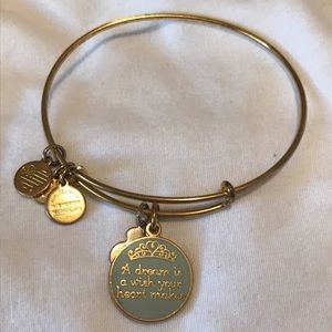 Disney collection Alex and Ani